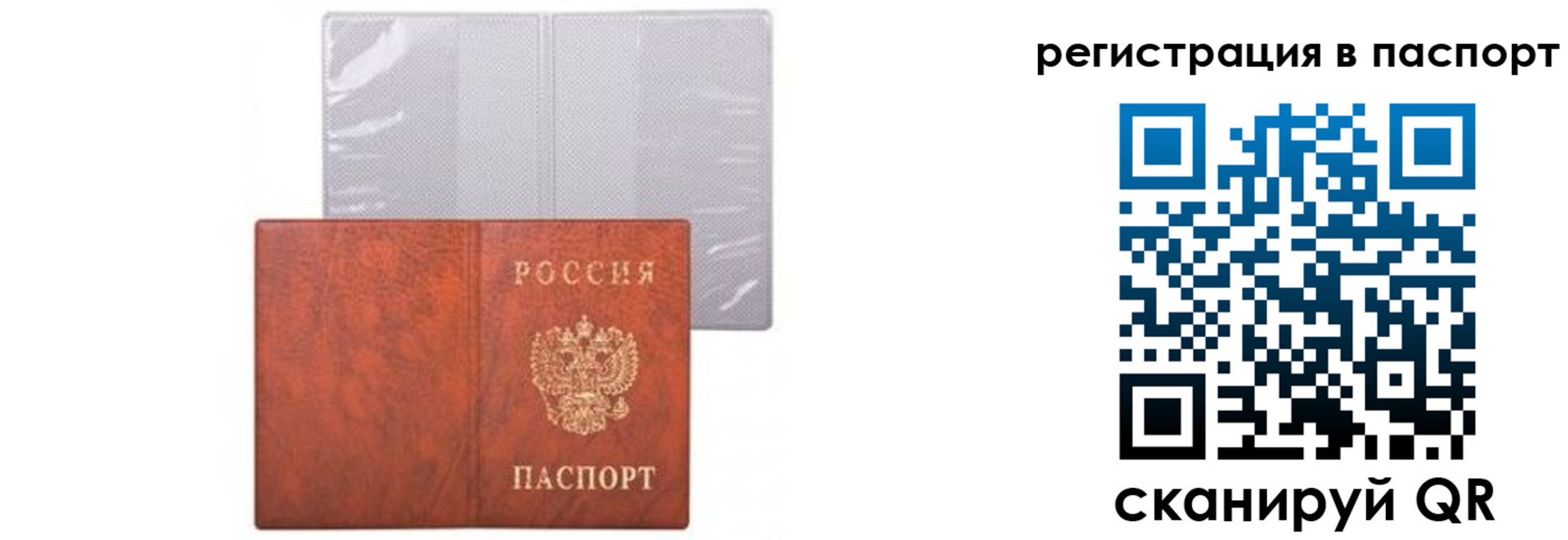 прописка ребенка в Шуе
